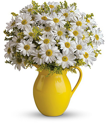 Teleflora's Sunny Day Pitcher of Daisies